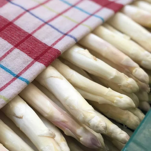 Spargel