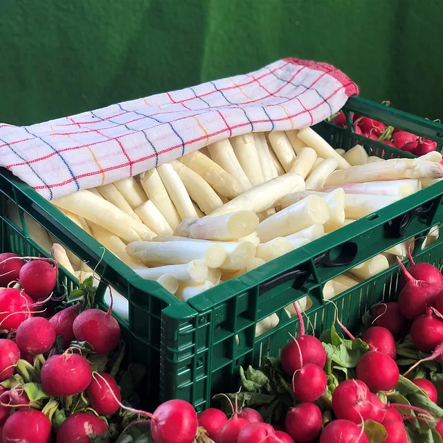 Spargel