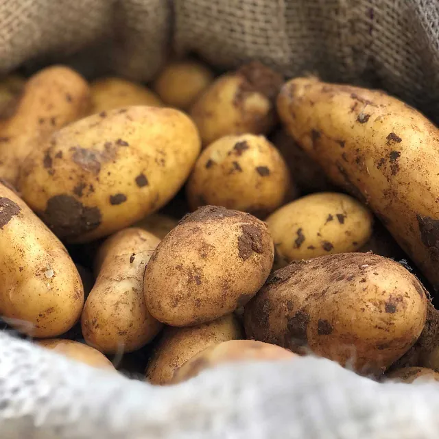 Kartoffeln