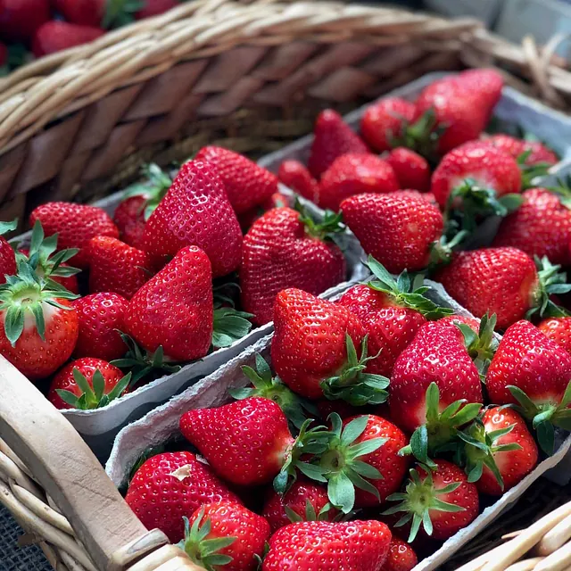 Erdbeeren