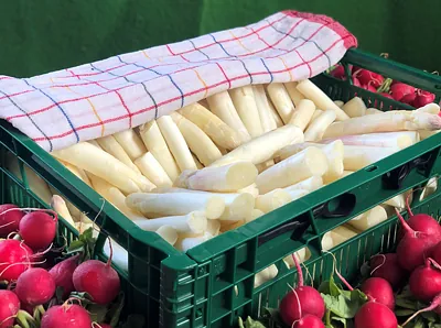Früchte, Magdeburger Spargelhof